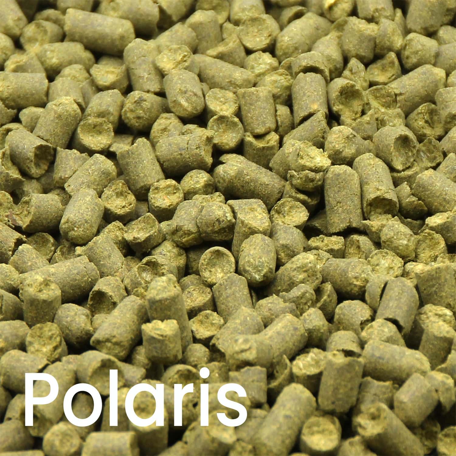 Hallertauer Polaris Hopfenpellets