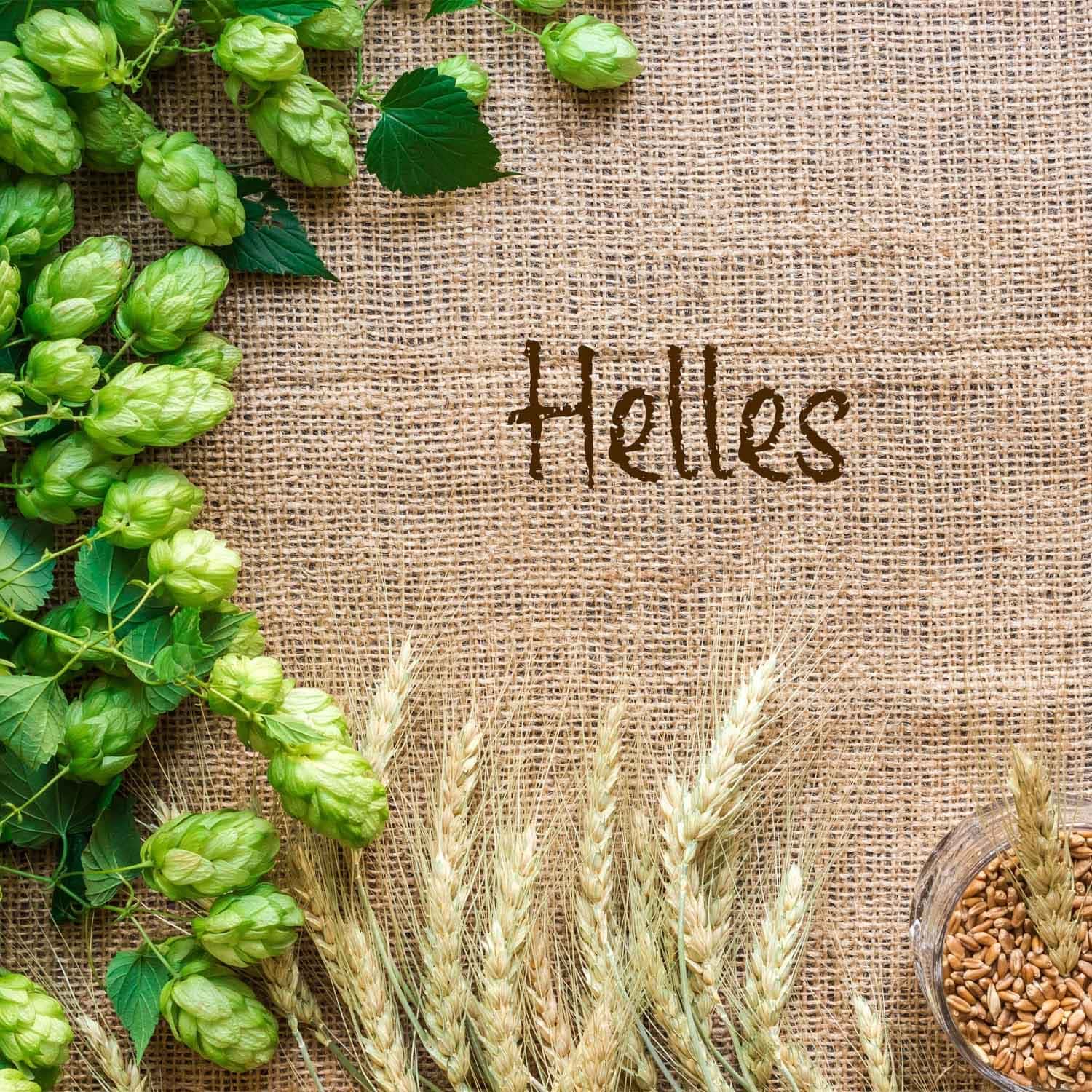 Fertigmischung HELLES 20 Liter, geschrotet
